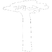 Baobab