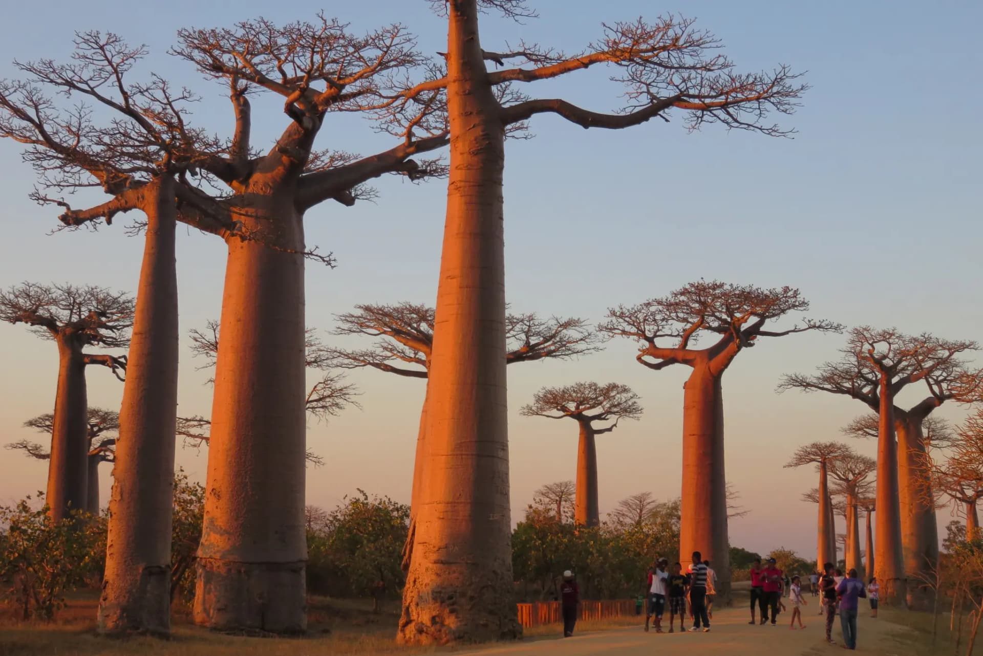 Les Meilleures Destinations à Madagascar pour 2026